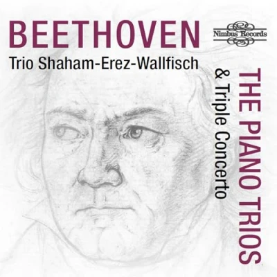 Afbeelding van Trio Shaham Erez Wallfisch Beethoven: The Piano Trios &amp; Triple Concerto (4 CD)
