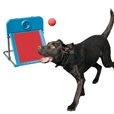 Afbeelding van Rosewood Honden ballenset om te springen