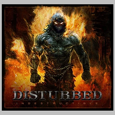 Afbeelding van Disturbed Indestructable