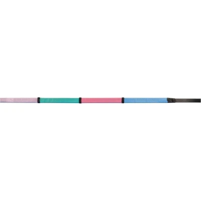 Afbeelding van Waldhausen Teugels Rainbow Rubber Full