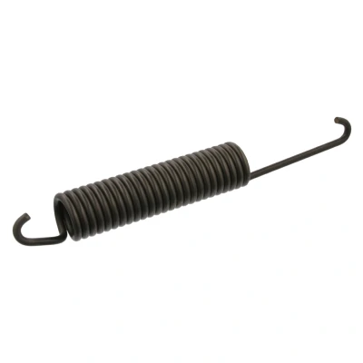 Afbeelding van Febi Bilstein Remschoen veer 05310
