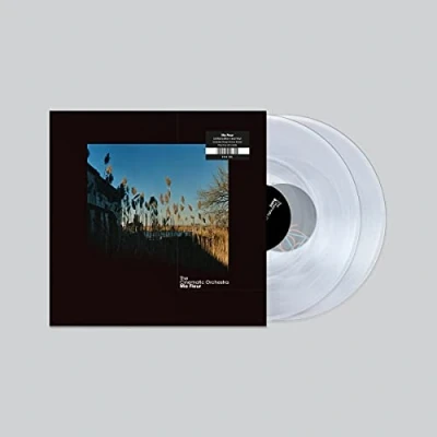 Afbeelding van Cinematic Orchestra Ma Fleur
