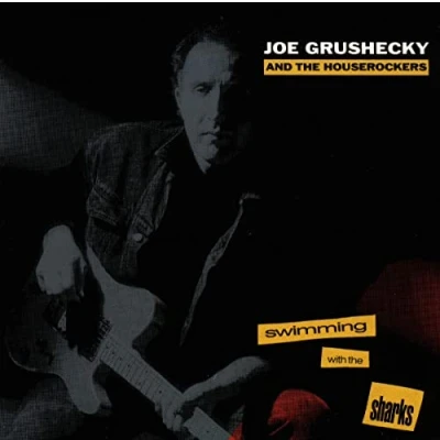 Afbeelding van Joe Grushecky Swimming With The Sharks (CD)