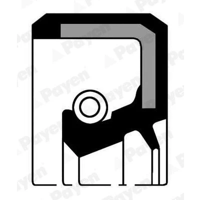 Afbeelding van PAYEN NA5187 Nokkenas Keerring FIAT: 132, X 1/9, Uno Hatchback, ABARTH: Ritmo, LANCIA: Beta Spider