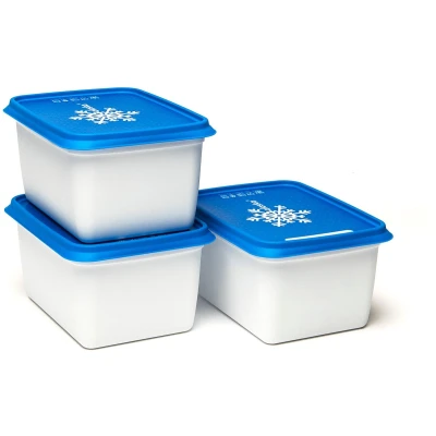 Afbeelding van Dbp Alaska Diepvriesdoos 1000 Ml Set Van 3 Stuks