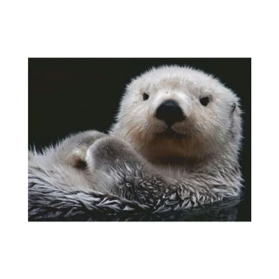 Image de Puzzle 500 pièces Ravensburger Loutre