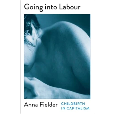 Afbeelding van Mapping Social Reproduction Theory Going Into Labour