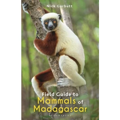 Afbeelding van Bloomsbury Naturalist Field Guide to Mammals of Madagascar