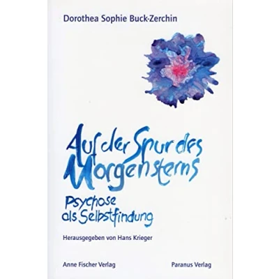 Afbeelding van Auf der Spur des Morgensterns