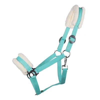 Image de QHP Halter Cali