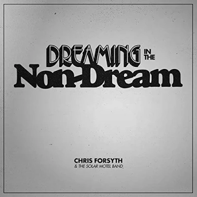 Afbeelding van Chris Forsyth Dreaming In The Non