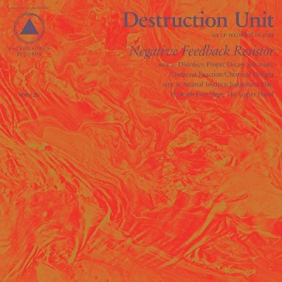 Afbeelding van Destruction Unit Negative Feedback (CD)
