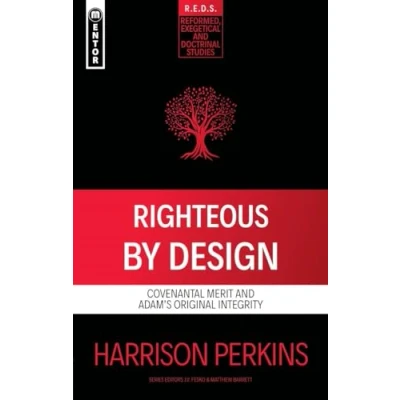 Afbeelding van Reformed Exegetical Doctrinal Studies series Righteous By Design