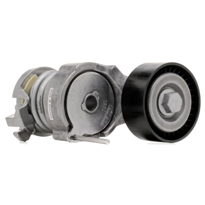 Afbeelding van Spanrol, Poly V riem SKF VKM 31220