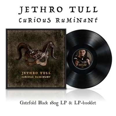 Afbeelding van Jethro Tull Curious Ruminant (LP)