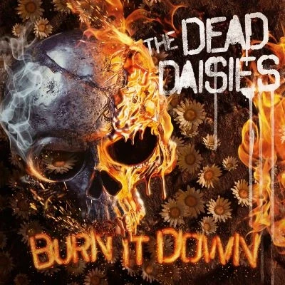 Afbeelding van BURN IT DOWN