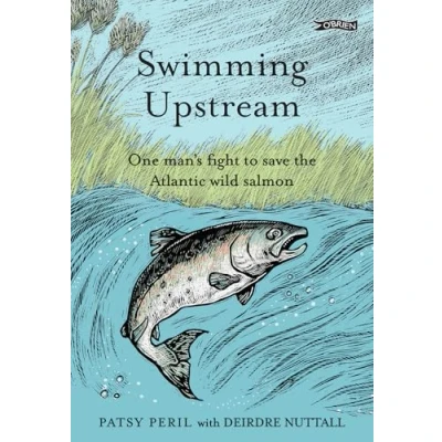 Afbeelding van Swimming Upstream
