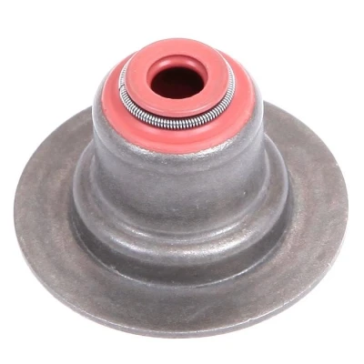 Afbeelding van GOETZE 50 307243 70 Klepsteelrubbers 5,50, 11,00 RENAULT: MEGANE 3 Coupe, SCENIC 3, Kangoo I Express, DACIA: Duster Off Road