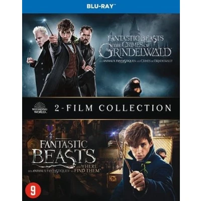 Afbeelding van Fantastic Beasts 1&amp;2 (Blu ray)