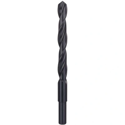Afbeelding van Bosch Accessories 2609255022 HSS Metaal spiraalboor 12 mm Gezamenlijke lengte 151 Rollenwals DIN 338 Cilinderschacht 1 stuk(s)