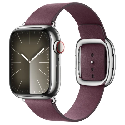 Afbeelding van Apple Mulberry Modern Buckle 41mm Large