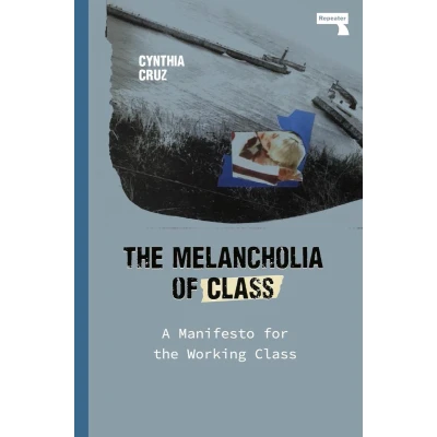 Afbeelding van The Melancholia of Class