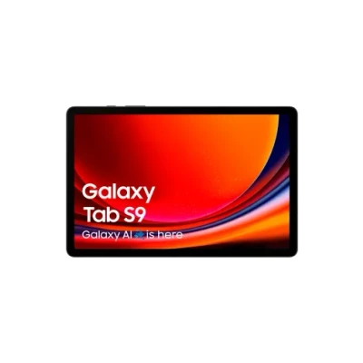Image de Tablette tactile Samsung Galaxy Tab S9 5G 11&quot; 256 Go Graphite
