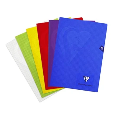 Afbeelding van Clairefontaine Mimesys 303102C Set notitieboekjes, A4, 48 pagina&#039;s, kleine ruitjes, wit papier, 90 g, envelop van polypropyleen, willekeurige kleur, 10 stuks, 21 x 29,7 cm