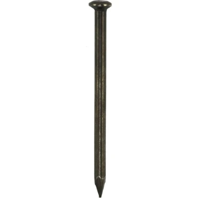 Afbeelding van DQ stalen nagel 2.5x30mm bkv (100st)