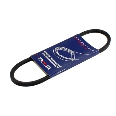 Afbeelding van V riem RMS voor Dynastar Ape 113256