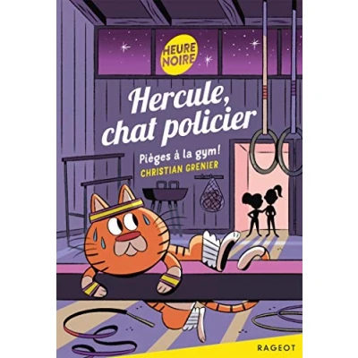 Afbeelding van Hercule chat policier pieges a la gym