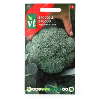 Afbeelding van Brocolli Marathon F1 Hybride Zaden Broccoli voor Een Hoge Opbrengst