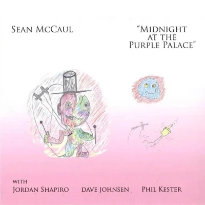 Afbeelding van Sean McCaul Midnight At The Purple (CD)