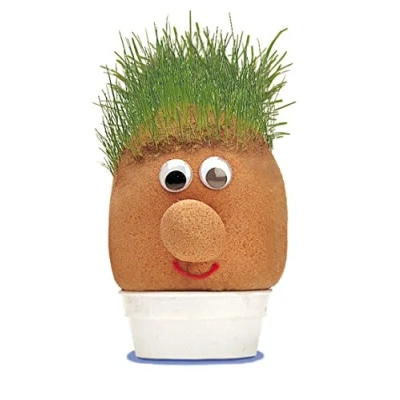Afbeelding van Tobar 00748 Monsieur gazon Mr Grasshead