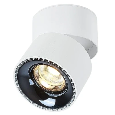 Afbeelding van Budbuddy 12 W led plafondlamp, draaibaar, plafondspots, wit, wandspots, binnen, modern, voor hal, woonkamer, kantoor, winkel en meer, 3000 K
