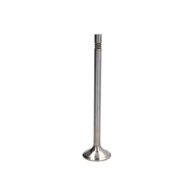 Afbeelding van FRECCIA R6577/BMCR Uitlaatklep 38 Verchroomde klepsteel