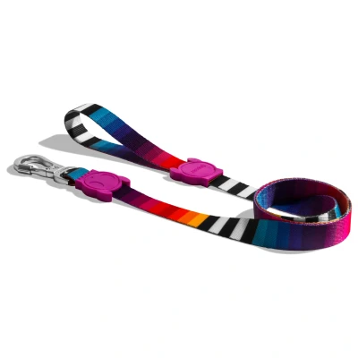 Afbeelding van Zee.Dog Looplijn Prisma Multi Color Hondenriem 120x1.0 cm