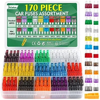 Afbeelding van Bolatus 170 stuks autozekeringen, 60 middelgrote autozekeringen + 110 mini zekeringen zekeringtrekkers voor camper, auto, vrachtwagen, motorfiets (2 A, 3 5 7,5 10 15 20 25 30