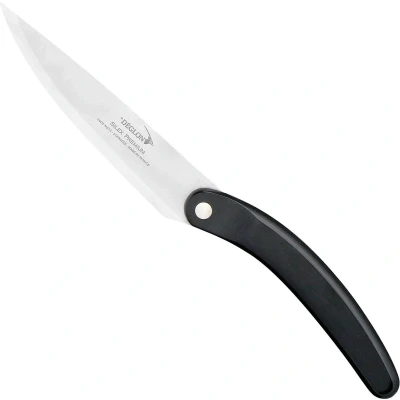 Afbeelding van Déglon Silex Premium® Steakmes 12 cm Scherp en Stijlvol voor elke Eettafel