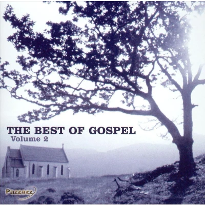 Afbeelding van Various Artists The Best Of Gospel Volume 2 (CD)