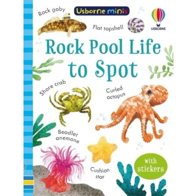 Image de Rock Pool Life to Spot