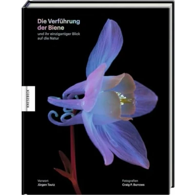 Afbeelding van Die Verführung der Biene