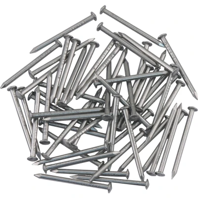 Afbeelding van Ellen tochtstripnagel rvs 25 x 1.6