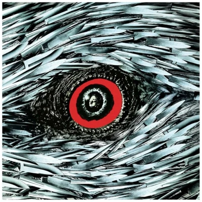 Afbeelding van The Bird With Crystal Plumage (Clear Vinyl)