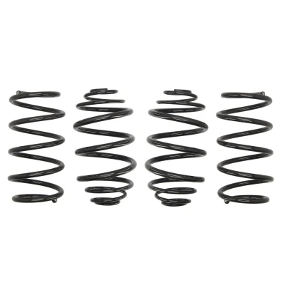 Afbeelding van EIBACH Pro Kit E6547 140 Chassis, veren