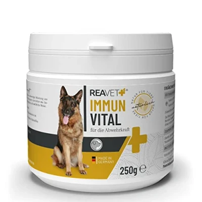 Afbeelding van ReaVET Immuun Vitaal voor Honden Natuurlijke kruidenmix Draagt bij aan het instant houden van algehele welbevinden Zonder kunstmatige toevoegingen 250g