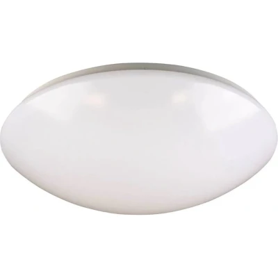Afbeelding van BigBright LED plafond/wand 22W 3000K 41cm