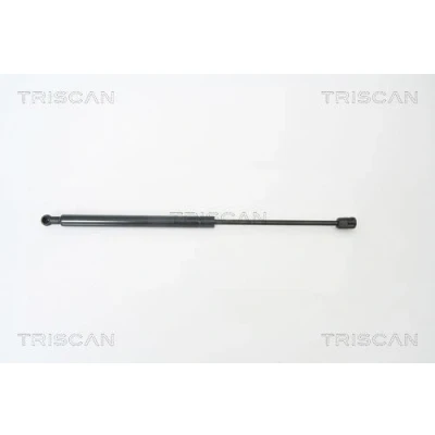 Afbeelding van Gasveer, kofferruimte TRISCAN 8710 29268