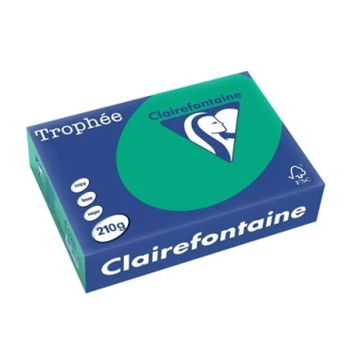 Image de Papier Trophée 210G A4 250 Feuilles Vert Sapin Clairefontaine