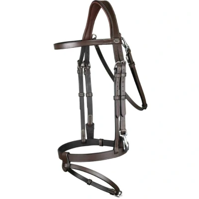 Afbeelding van Dy&#039;on Hoofdstel Working Collection Flat Leather With Snap Hooks Bruin